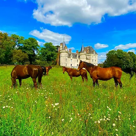 Chateau De La Pervenchere Des Cavaliers Casson