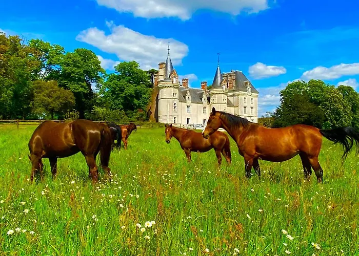 Château De La Pervenchère Des Cavaliers Casson